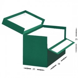 CAJA TRANSFERENCIA O PROYECTOS VERDE 38x25x20 CM 